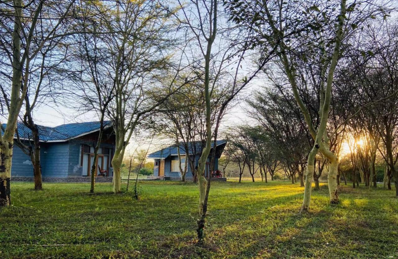 Mara Sweet Acacia Lodge Talek Exterior photo